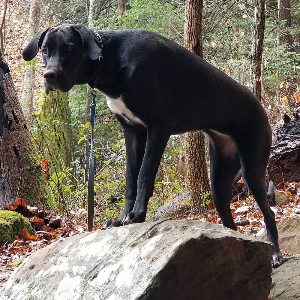 Meet your Posher, Amanda